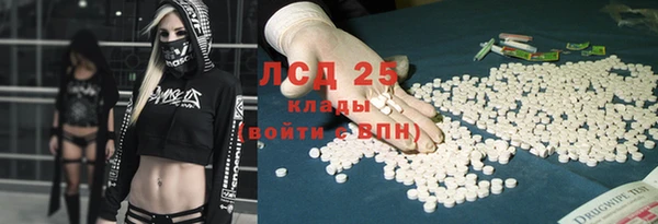 ГАЛЛЮЦИНОГЕННЫЕ ГРИБЫ Арсеньев