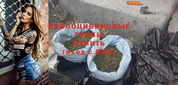 стафф Аркадак