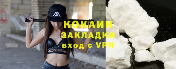 крисы Баксан