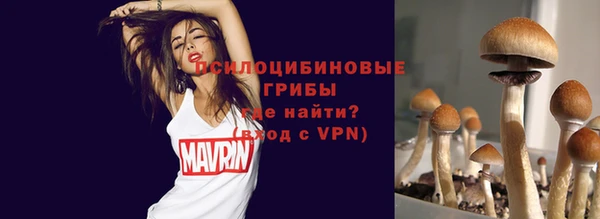 стафф Аркадак