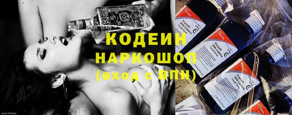 ГАЛЛЮЦИНОГЕННЫЕ ГРИБЫ Арсеньев