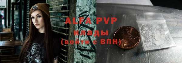 стафф Аркадак