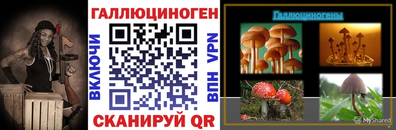 Галлюциногенные грибы Psilocybe  дарнет шоп  мориарти формула  Новодвинск 