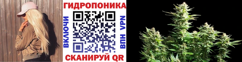 продажа наркотиков  Новодвинск  Шишки марихуана планчик 
